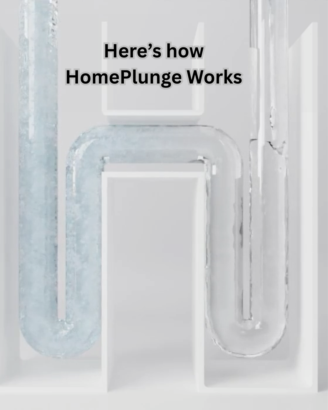 HomePlunge