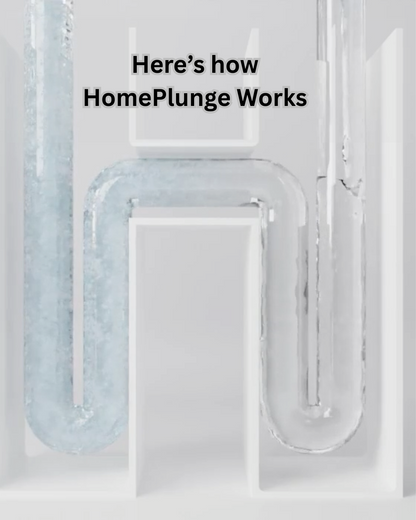 HomePlunge